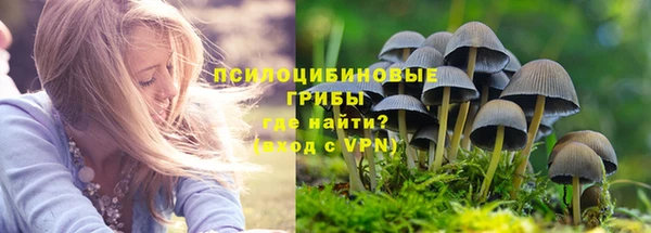 хмурый Медногорск