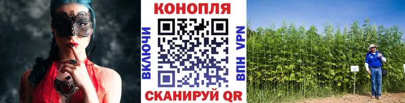 Бошки Шишки план  Никольское 
